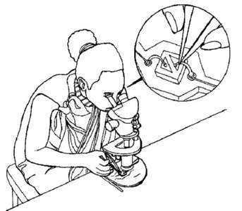 OIT  IMAGENES DIBUJOS JPG